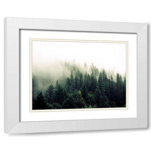 Trees 47 White Modern Wood Framed Art Print with Double Matting by Lee, Rachel