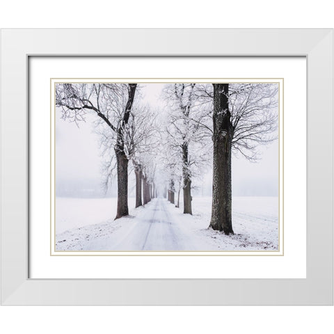 Trees 49 White Modern Wood Framed Art Print with Double Matting by Lee, Rachel
