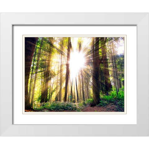 Trees 50 White Modern Wood Framed Art Print with Double Matting by Lee, Rachel