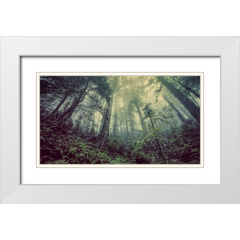 Trees 51 White Modern Wood Framed Art Print with Double Matting by Lee, Rachel
