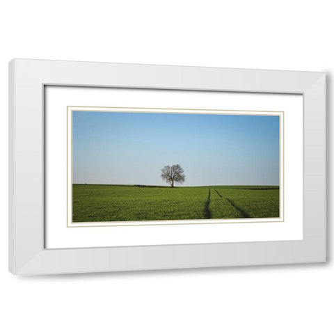 Trees 52 White Modern Wood Framed Art Print with Double Matting by Lee, Rachel