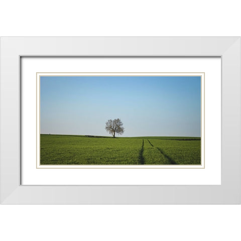 Trees 52 White Modern Wood Framed Art Print with Double Matting by Lee, Rachel