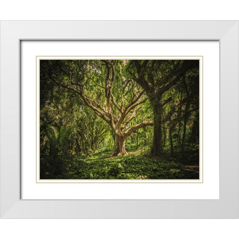 Trees 53 White Modern Wood Framed Art Print with Double Matting by Lee, Rachel