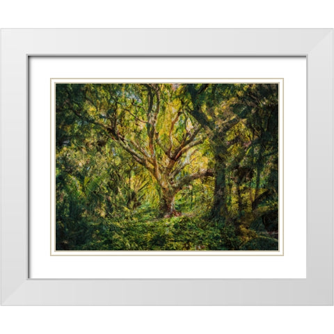 Trees 53 Painted White Modern Wood Framed Art Print with Double Matting by Lee, Rachel