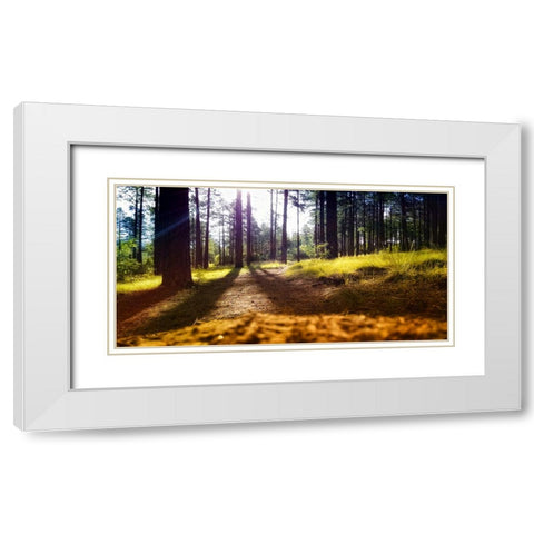 Trees 59 White Modern Wood Framed Art Print with Double Matting by Lee, Rachel