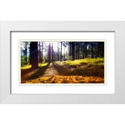 Trees 59 White Modern Wood Framed Art Print with Double Matting by Lee, Rachel