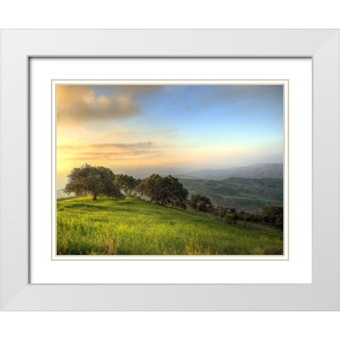 Trees 60 White Modern Wood Framed Art Print with Double Matting by Lee, Rachel