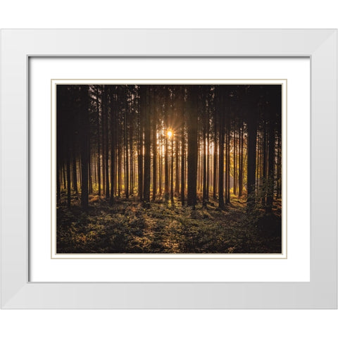 Trees 63 White Modern Wood Framed Art Print with Double Matting by Lee, Rachel