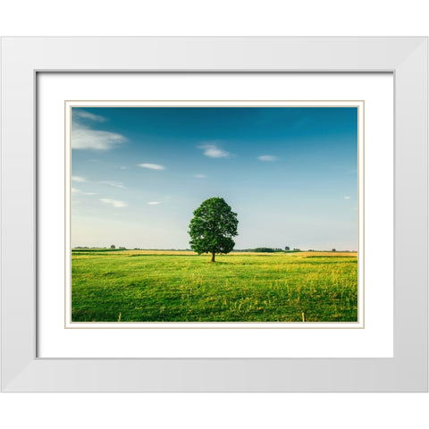 Trees 67 White Modern Wood Framed Art Print with Double Matting by Lee, Rachel