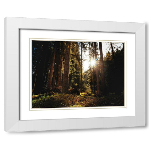 Trees 69 White Modern Wood Framed Art Print with Double Matting by Lee, Rachel