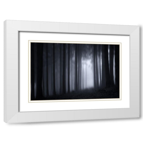Trees 7 White Modern Wood Framed Art Print with Double Matting by Lee, Rachel