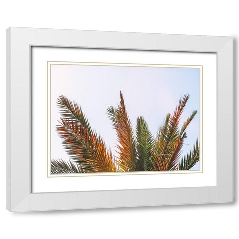 Trees 82 White Modern Wood Framed Art Print with Double Matting by Lee, Rachel