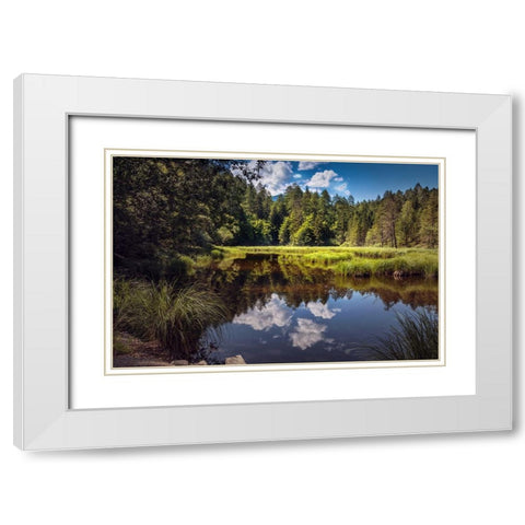 Trees And Water 8 White Modern Wood Framed Art Print with Double Matting by Lee, Rachel