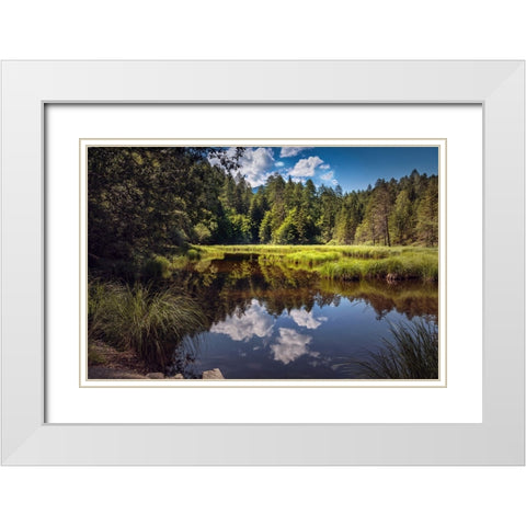 Trees And Water 8 White Modern Wood Framed Art Print with Double Matting by Lee, Rachel