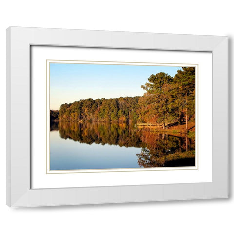 Trees And Water 9 White Modern Wood Framed Art Print with Double Matting by Lee, Rachel