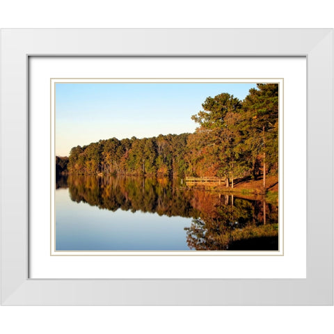 Trees And Water 9 White Modern Wood Framed Art Print with Double Matting by Lee, Rachel