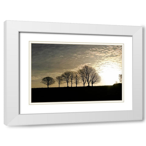 Trees Evening White Modern Wood Framed Art Print with Double Matting by Lee, Rachel