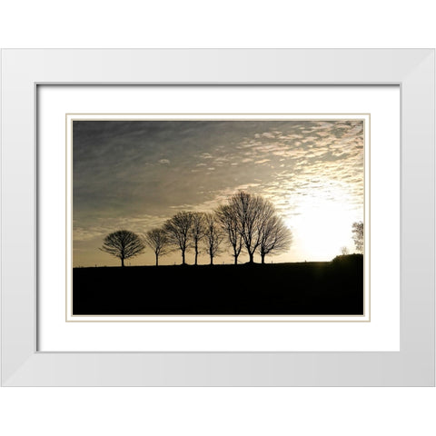 Trees Evening White Modern Wood Framed Art Print with Double Matting by Lee, Rachel