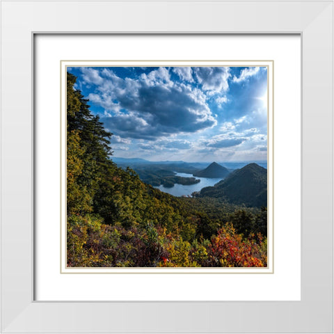 View to Big Frog White Modern Wood Framed Art Print with Double Matting by Lee, Rachel