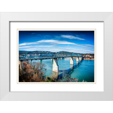Walnut From Hunter Deck White Modern Wood Framed Art Print with Double Matting by Lee, Rachel