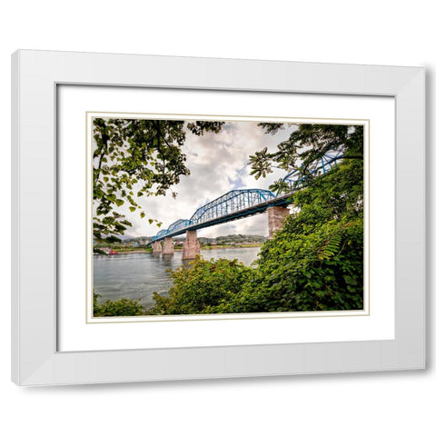 Walnut From South White Modern Wood Framed Art Print with Double Matting by Lee, Rachel