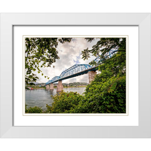 Walnut From South White Modern Wood Framed Art Print with Double Matting by Lee, Rachel