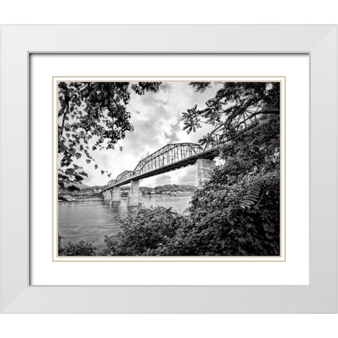 Walnut From South BW White Modern Wood Framed Art Print with Double Matting by Lee, Rachel