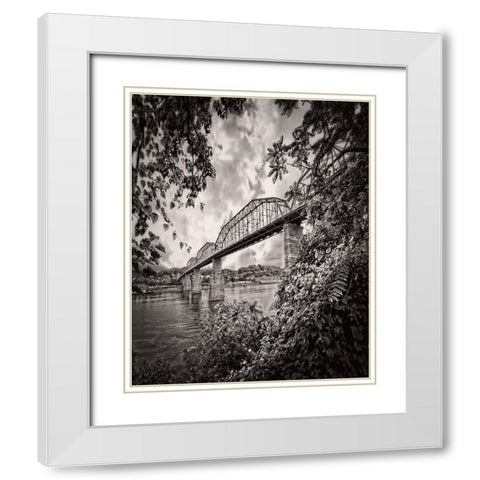 Walnut From South BW Rugged White Modern Wood Framed Art Print with Double Matting by Lee, Rachel