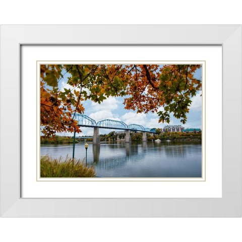 Walnut Leaves White Modern Wood Framed Art Print with Double Matting by Lee, Rachel