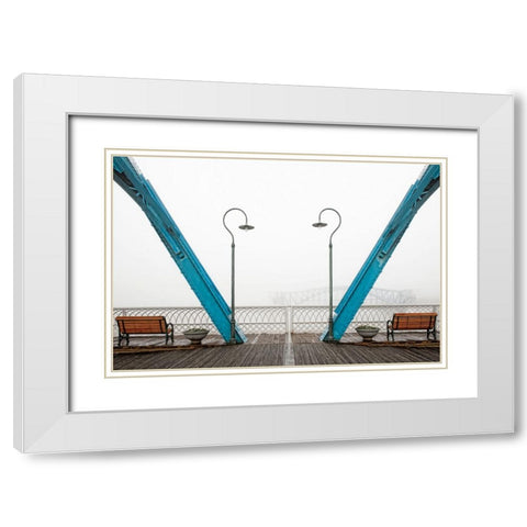 Walnut Posts in Fog White Modern Wood Framed Art Print with Double Matting by Lee, Rachel