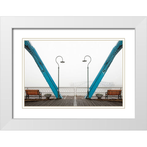 Walnut Posts in Fog White Modern Wood Framed Art Print with Double Matting by Lee, Rachel