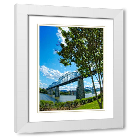 Walnut Verticle with Tree White Modern Wood Framed Art Print with Double Matting by Lee, Rachel