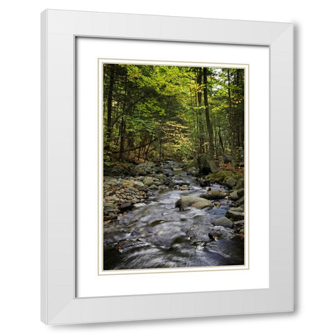 Waterfall 13 White Modern Wood Framed Art Print with Double Matting by Lee, Rachel