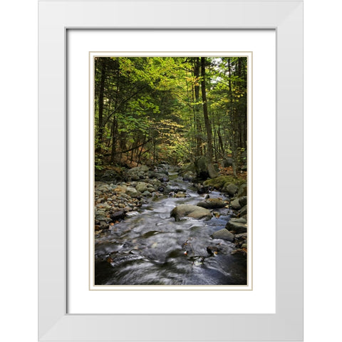 Waterfall 13 White Modern Wood Framed Art Print with Double Matting by Lee, Rachel