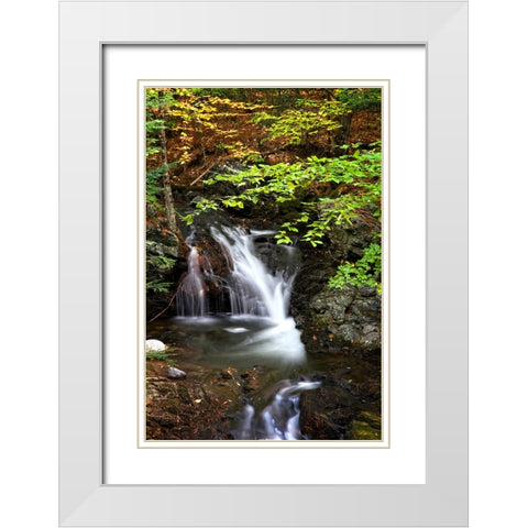 Waterfall 14 White Modern Wood Framed Art Print with Double Matting by Lee, Rachel