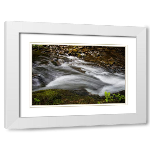 Waterfall 2 White Modern Wood Framed Art Print with Double Matting by Lee, Rachel