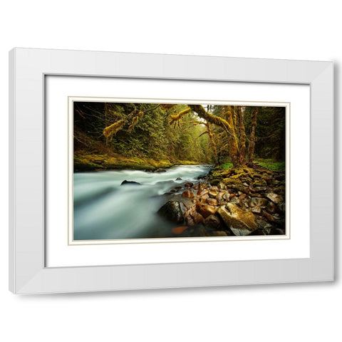Waterfall 24 White Modern Wood Framed Art Print with Double Matting by Lee, Rachel