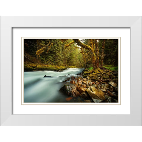 Waterfall 24 White Modern Wood Framed Art Print with Double Matting by Lee, Rachel