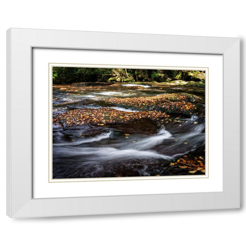 Waterfall 25 White Modern Wood Framed Art Print with Double Matting by Lee, Rachel