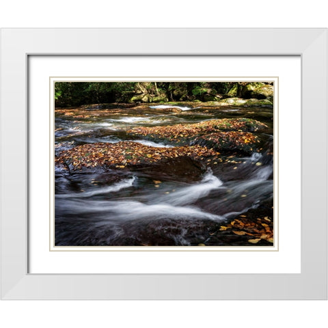Waterfall 25 White Modern Wood Framed Art Print with Double Matting by Lee, Rachel
