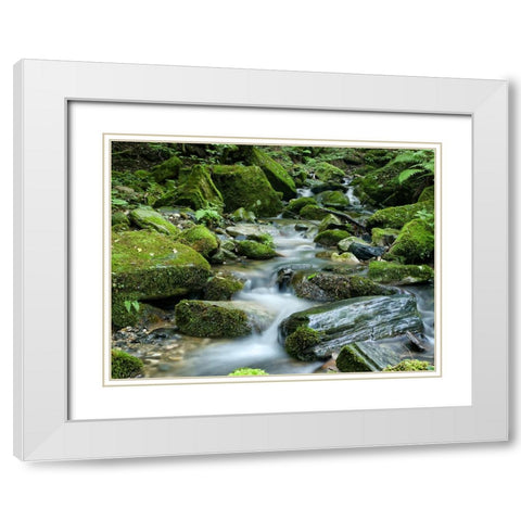 Waterfall 26 White Modern Wood Framed Art Print with Double Matting by Lee, Rachel