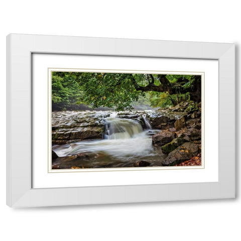 Waterfall 30 White Modern Wood Framed Art Print with Double Matting by Lee, Rachel