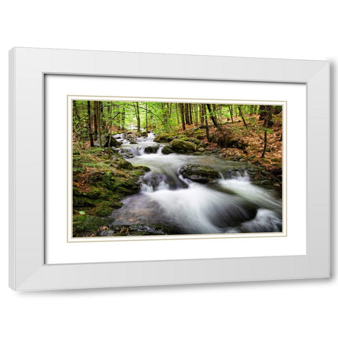 Waterfall 4 White Modern Wood Framed Art Print with Double Matting by Lee, Rachel