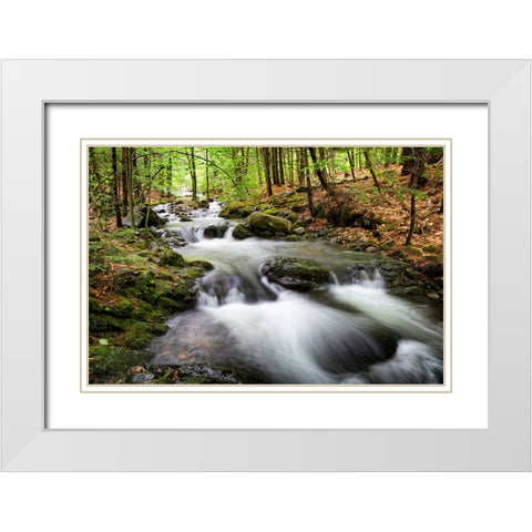 Waterfall 4 White Modern Wood Framed Art Print with Double Matting by Lee, Rachel