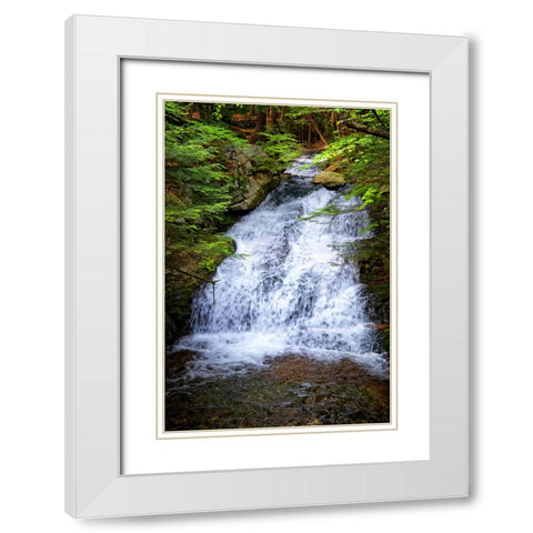 Waterfall 5 White Modern Wood Framed Art Print with Double Matting by Lee, Rachel
