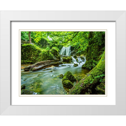 Waterfall 58 White Modern Wood Framed Art Print with Double Matting by Lee, Rachel