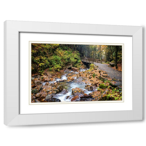 Waterfall And Walking Path White Modern Wood Framed Art Print with Double Matting by Lee, Rachel
