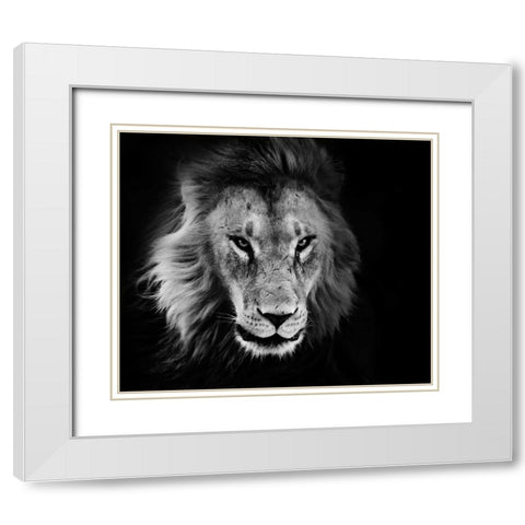 Wildlife 12 White Modern Wood Framed Art Print with Double Matting by Lee, Rachel