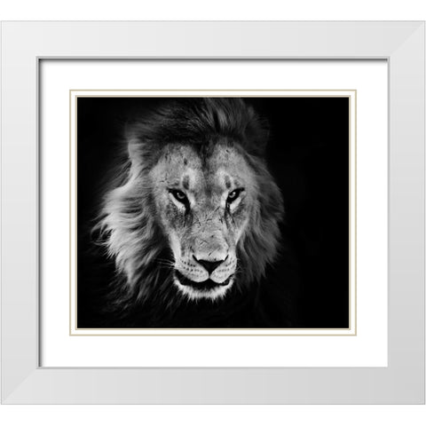 Wildlife 12 White Modern Wood Framed Art Print with Double Matting by Lee, Rachel