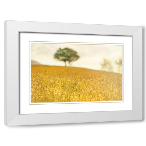 Yellow Meadow White Modern Wood Framed Art Print with Double Matting by Lee, Rachel